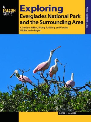 cover image of Exploring Everglades National Park and the Surrounding Area